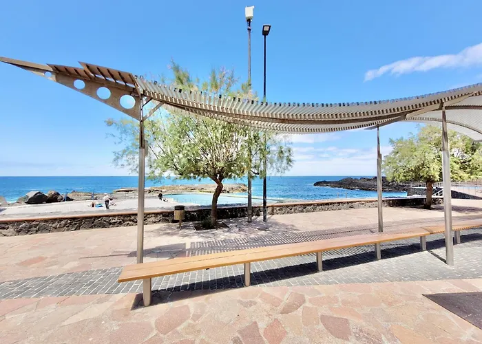 Feel D * 타코론테